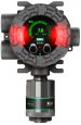 Flame & Gas Detection